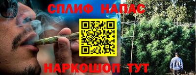 ПСИЛОЦИБИНОВЫЕ ГРИБЫ Бийск