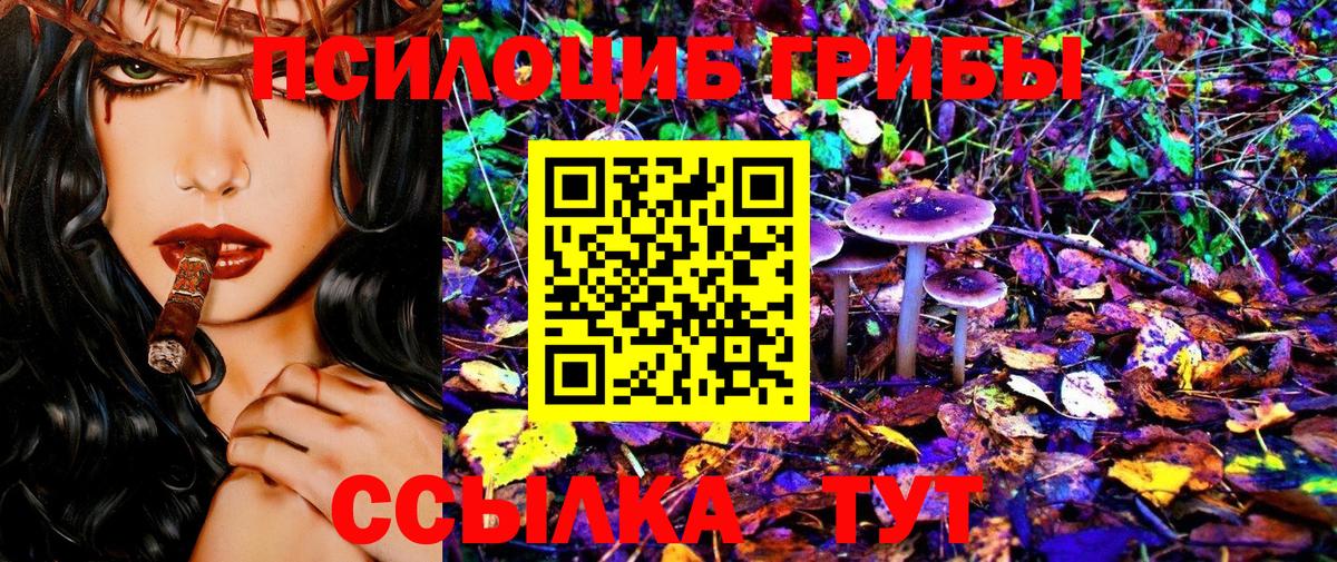 Ставрополь  Cocaine  Вход с VPN  Купить закладку  ГАШ  Меф МЯУ МЯУ кристаллы  Марихуана  APVP СОЛЬ  